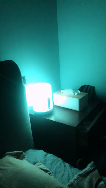 米家床头灯2 智能灯 氛围灯 米家APP控制 床头灯 小夜灯 触控交互 智能家居日用 智能照明晒单图