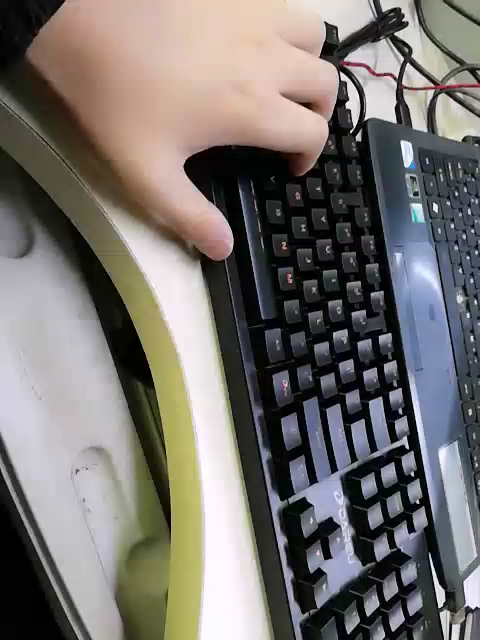 达尔优(dare-u) LK166 机械键盘游戏键盘电竞键盘有线键盘电脑笔记本游戏绝地求生吃鸡键盘USB黑色青轴晒单图