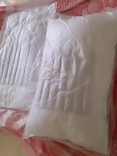 南极人(NanJiren)家纺 枕头荞麦两用枕头护颈枕单人学生儿童枕芯 荞麦枕 单只装46*70cm晒单图