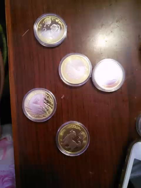 邮币商城 纪念币 高铁币 2018年 中国高铁普通纪念币 单枚面值10元 硬币 人民币收藏品 钱币藏品晒单图